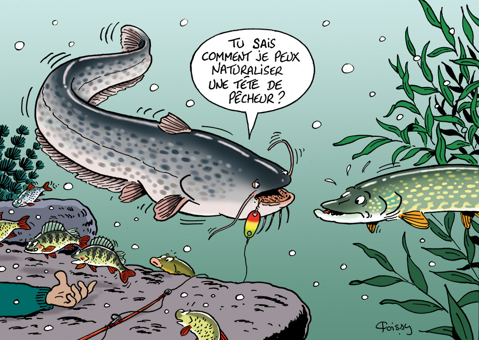 La pêche sur le pavé à permi