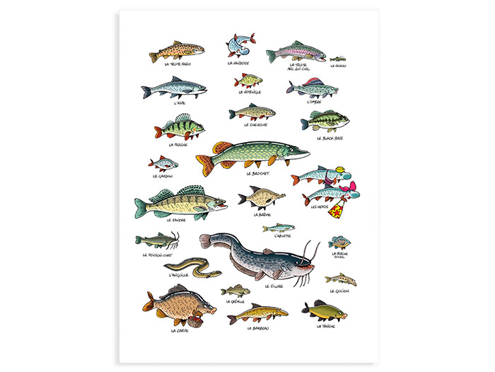 Poster Poisson