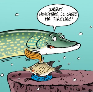 Brochet-et-tirelire